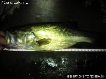 ¥Ö¥é¥Ã¥¯¥Ð¥¹