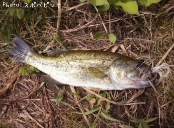 �֥�å��Х�