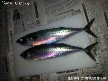 ���ޥ���