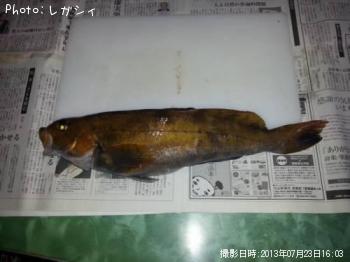 �����ʥ�