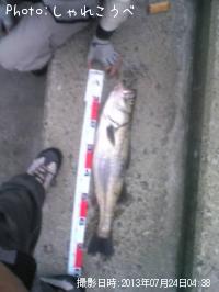 �����Х�