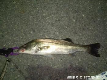 �����Х�