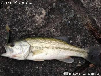 �֥�å��Х�