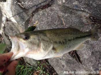 �֥�å��Х�