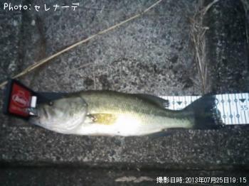 �֥�å��Х�