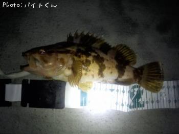 ¥¿¥±¥Î¥³¥á¥Ð¥ë