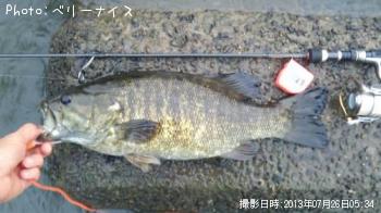 ¥¹¥â¡¼¥ë¥Þ¥¦¥¹¥Ð¥¹