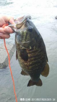 ¥¹¥â¡¼¥ë¥Þ¥¦¥¹¥Ð¥¹