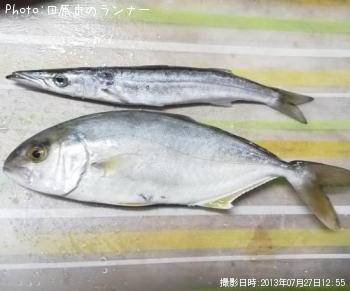 ���祴�����ޥ�