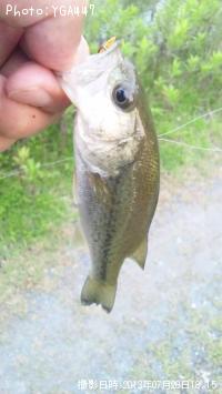 ¥Ö¥é¥Ã¥¯¥Ð¥¹