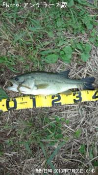 ¥Ö¥é¥Ã¥¯¥Ð¥¹