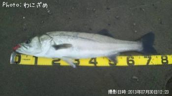 �����Х�