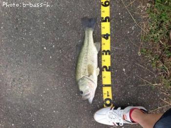 �֥�å��Х�