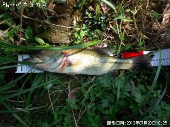 �顼���ޥ����Х�