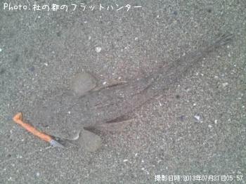 �ޥ���