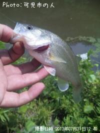 ¥Ö¥é¥Ã¥¯¥Ð¥¹