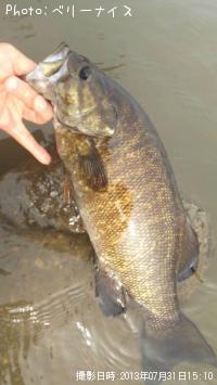 ¥¹¥â¡¼¥ë¥Þ¥¦¥¹¥Ð¥¹