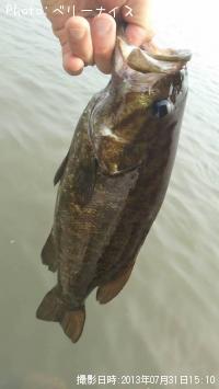 ¥¹¥â¡¼¥ë¥Þ¥¦¥¹¥Ð¥¹