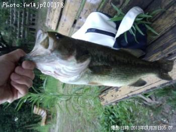 �֥�å��Х�