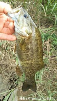 ���⡼��ޥ����Х�