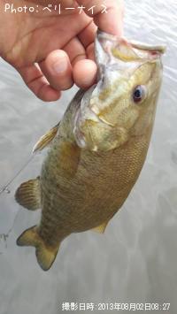 ���⡼��ޥ����Х�