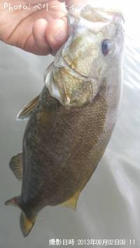 ���⡼��ޥ����Х�