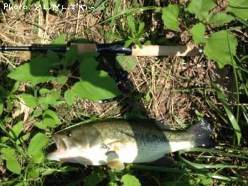 ¥Ö¥é¥Ã¥¯¥Ð¥¹