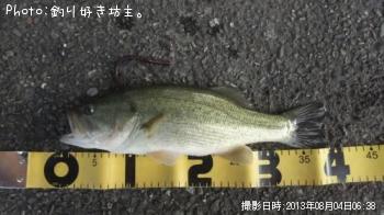 �֥�å��Х�