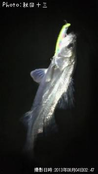 �����Х�