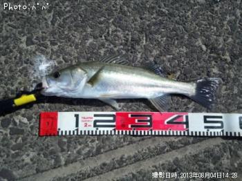 �����Х�