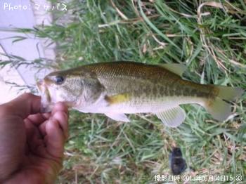 �֥�å��Х�