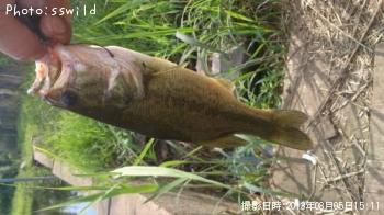 �֥�å��Х�