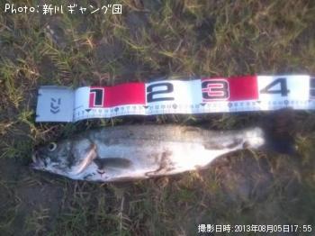 �����Х�