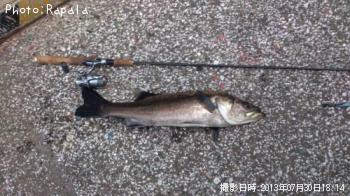 �����Х�