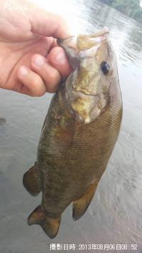 ���⡼��ޥ����Х�