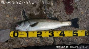 �����Х�