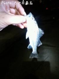 �����Х�