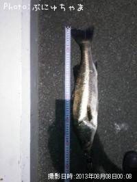 �����Х�