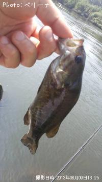 ���⡼��ޥ����Х�