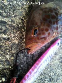 �������ϥ�