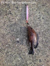 �������ϥ�