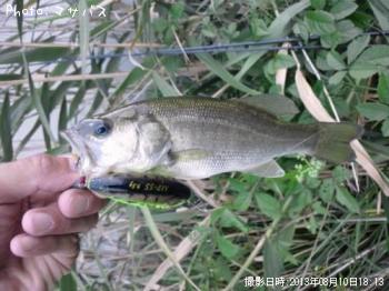 �֥�å��Х�