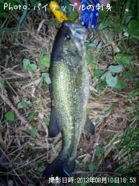 ¥Ö¥é¥Ã¥¯¥Ð¥¹