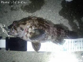 ��饽��