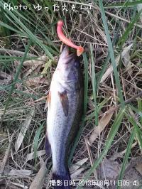 �顼���ޥ���