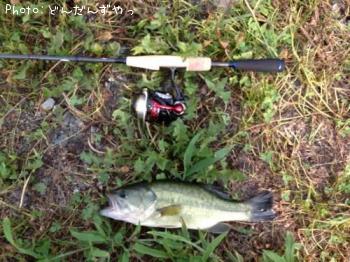 �֥�å��Х�