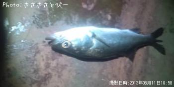 �����Х�