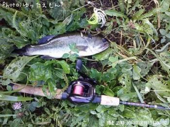 �֥�å��Х�