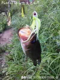 ¥Ö¥é¥Ã¥¯¥Ð¥¹