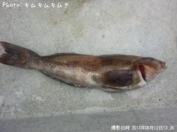 �����ʥ�